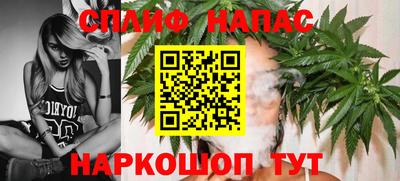 прущие грибы Комсомольск-на-Амуре
